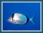 103P9220027 * (290kb)