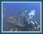 103P9220031 * (236kb)