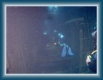 103P9220050 * (326kb)