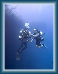103P9220054_M * (272kb)