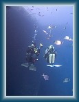 103P9220055_M * (241kb)