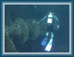 103P9220067 * (262kb)