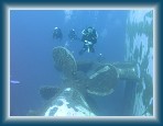 103P9220070_M * (245kb)