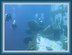 103P9220072_M * (278kb)