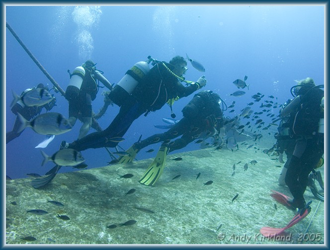 Photo at Zenobia: 