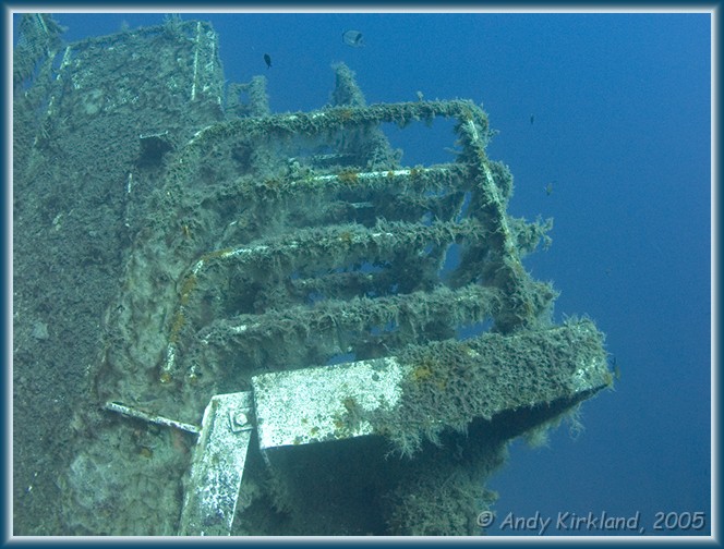 Photo at Zenobia: 