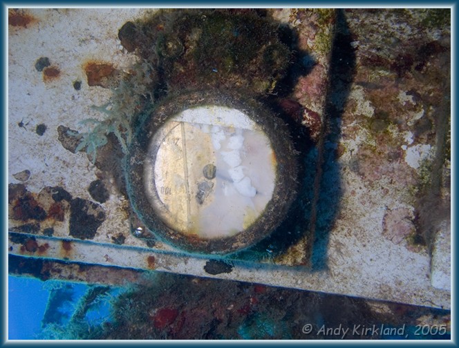 Photo at Zenobia: 