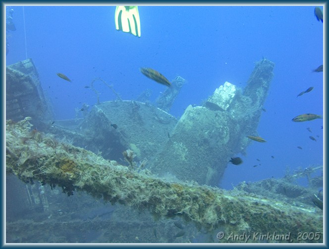 Photo at Zenobia: 