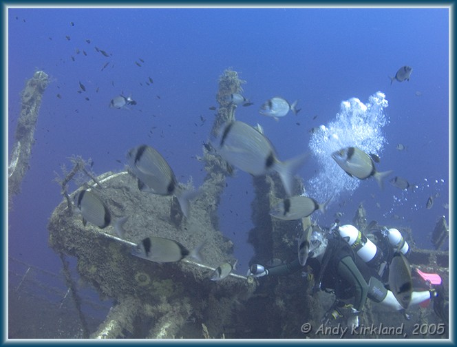 Photo at Zenobia: 