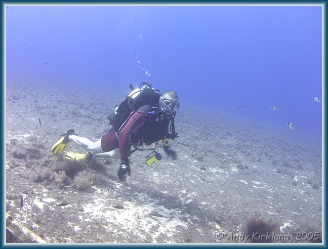 Photo at Zenobia: 