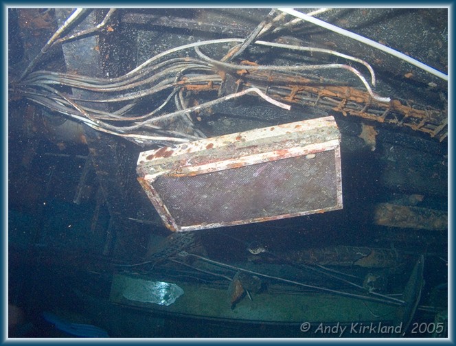 Photo at Zenobia: 