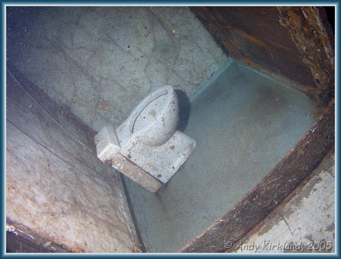 Photo at Zenobia: 