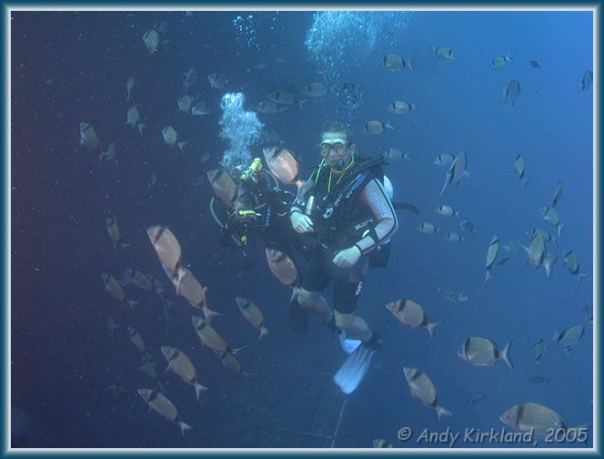 Photo at Zenobia: 