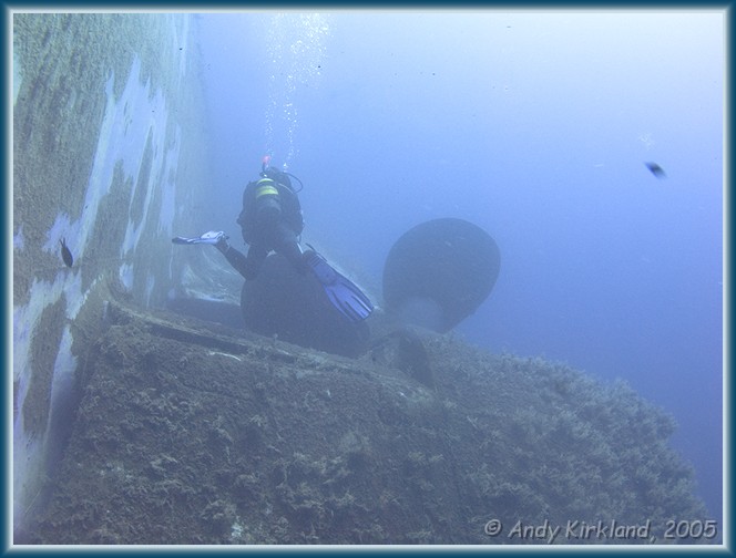 Photo at Zenobia: 