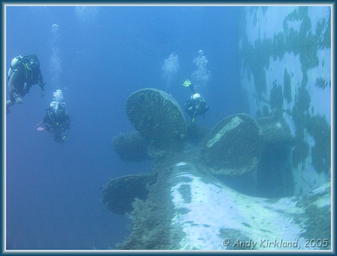 Photo at Zenobia: 