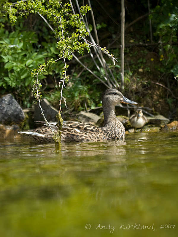 Photo at Stoney Cove: 