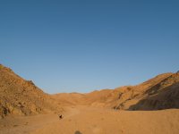 ... the wadi behind the hotel